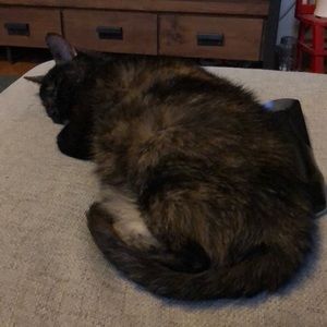 Meet your Posher, Kathleen